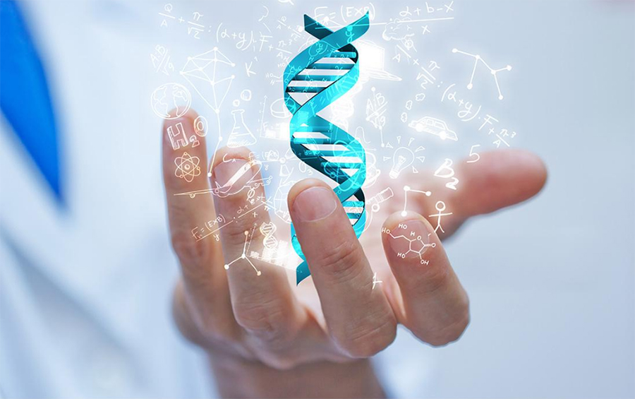 云南省隐私DNA亲子鉴定哪里做,云南省隐私亲子鉴定需要什么材料和流程