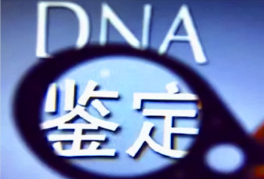 云南省司法DNA鉴定条件和材料,云南省司法DNA鉴定哪里做