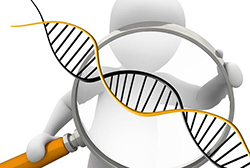 云南省隐私DNA亲子鉴定怎么收费，云南省匿名亲子鉴定条件和材料